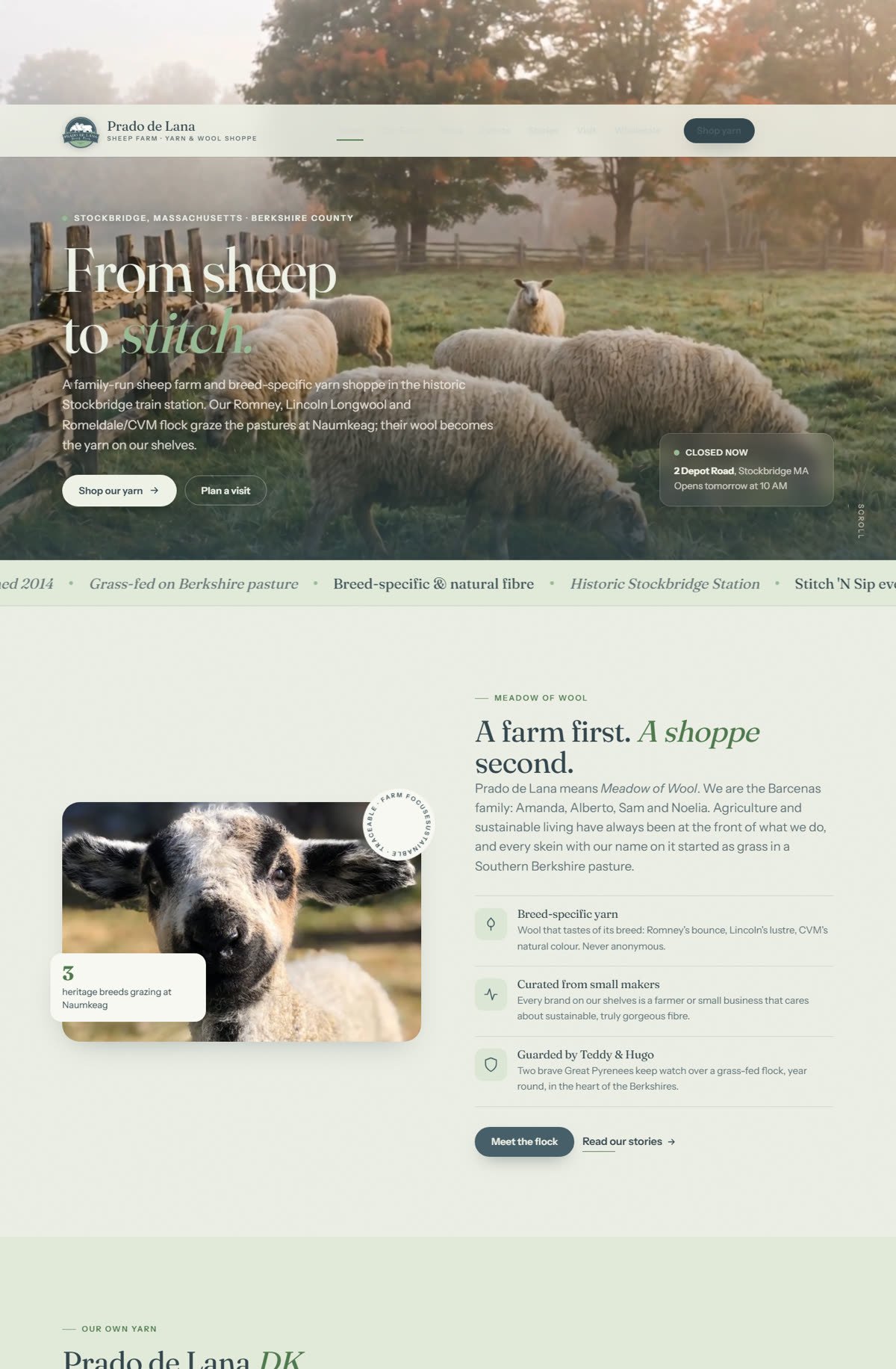 Prado de Lana website home page with sheep grazing in a Berkshire pasture and the headline From sheep to stitch